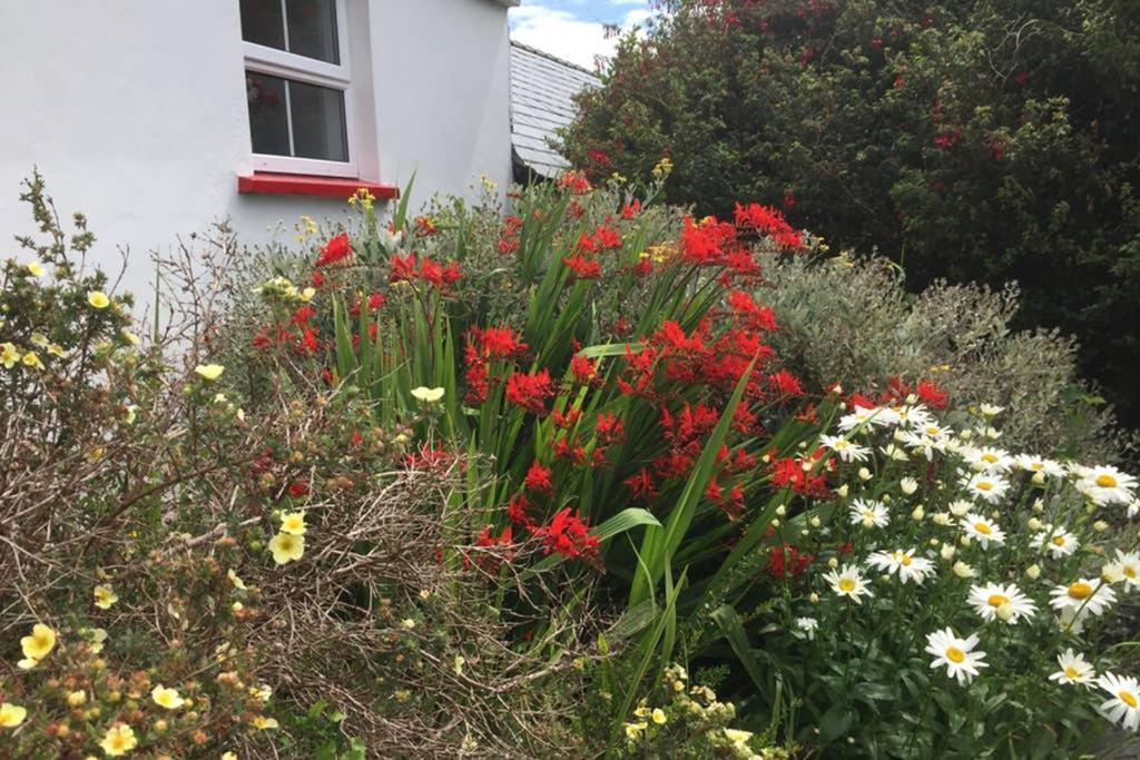 Red Stonecutters Cottage, Doolin Carrowauff Exterior photo